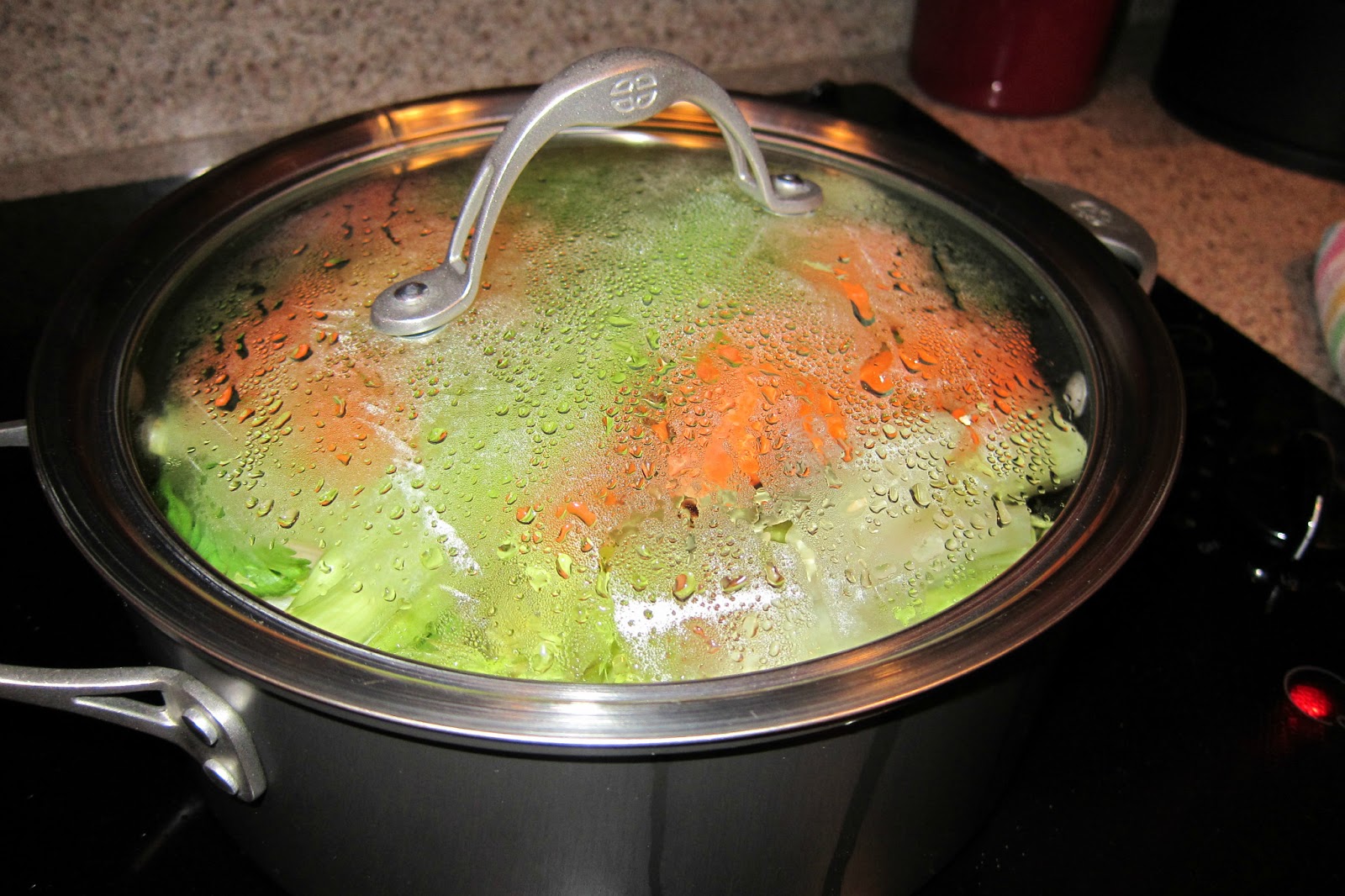 NOVA Frugal Family Chicken Broth from America's Test Kitchen