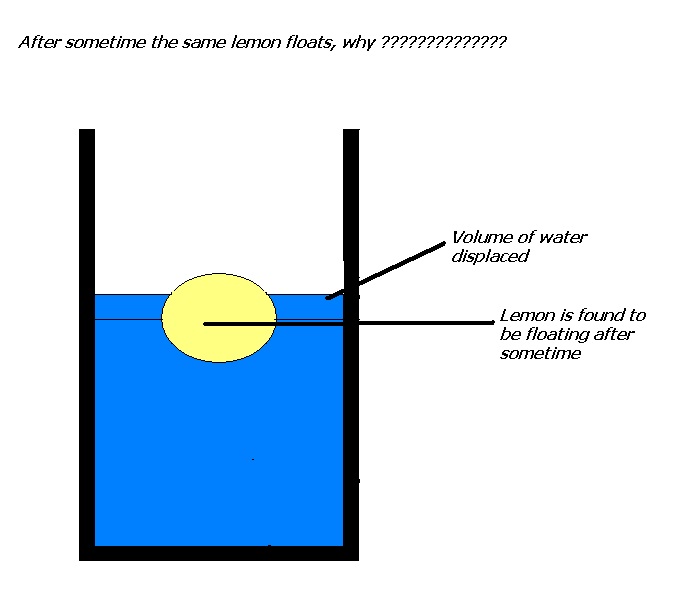 My Experiments and Results Why does a lemon sink in water , initially