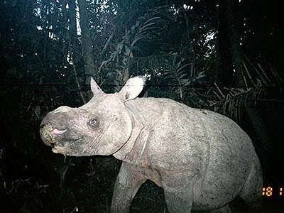 7wolu.blogspot.com