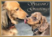 http://www.redbubble.com/people/sassyg/works/10985981-a-very-doxie-christmas-11?c=228724-long-dogs&p=greeting-card