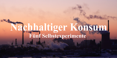 8 Dezember Handstulpen Mit Zopfmuster Zum Selberstricken Amalie