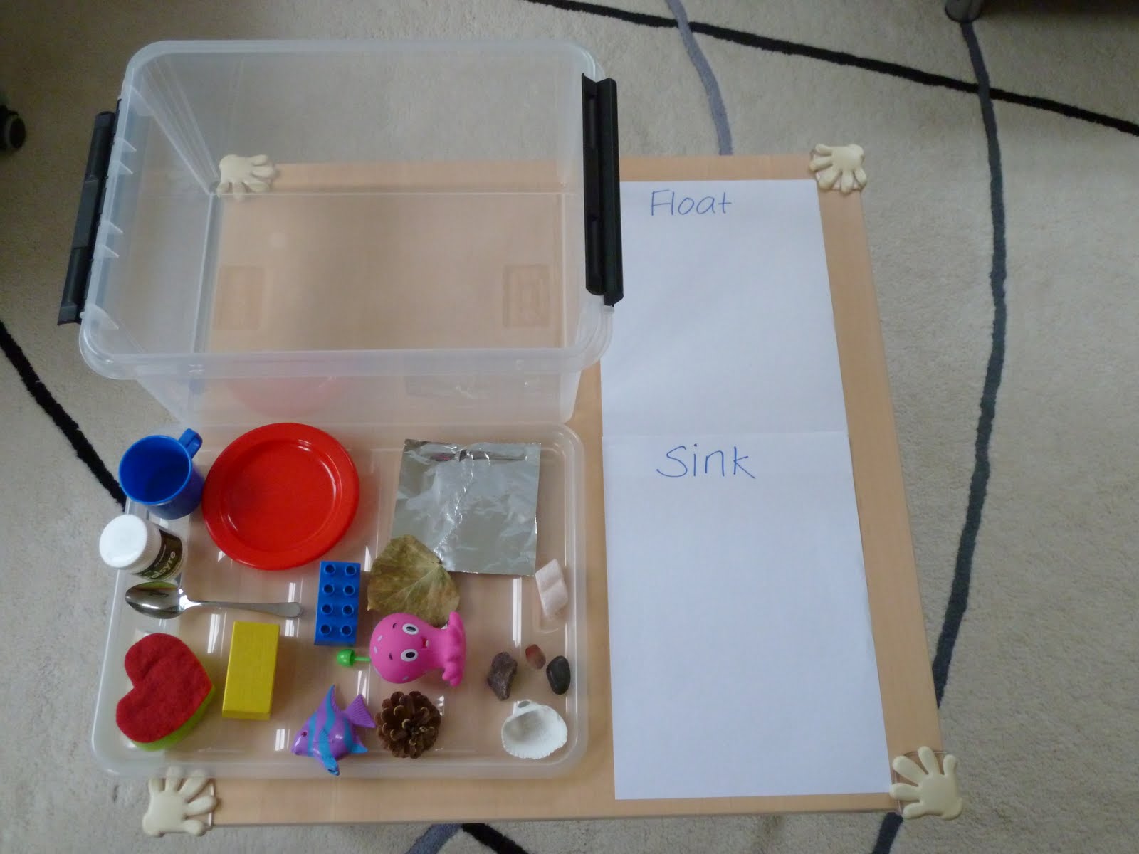 Family FECS Montessori Activity Floating & Sinking Objects/浮沉