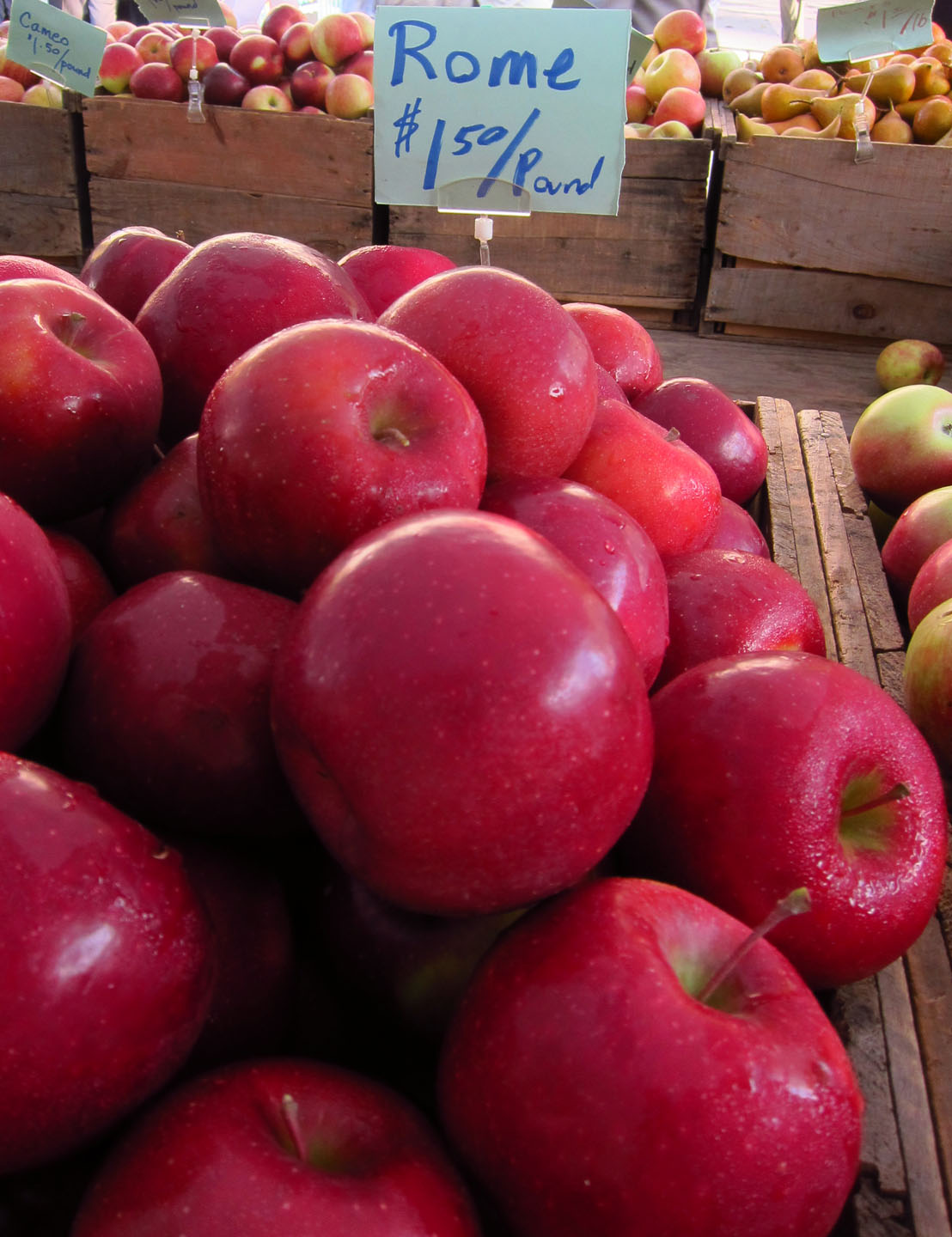 66 Square Feet (Plus) What to do with apples and why