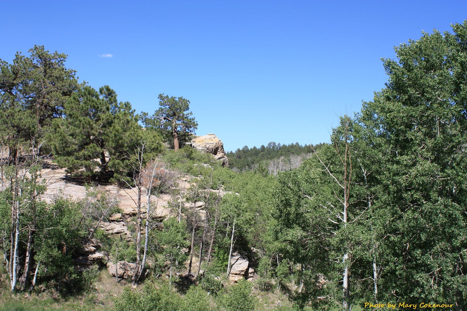 The Southwest Through Wide Brown Eyes Happy Fourth Anniversary of