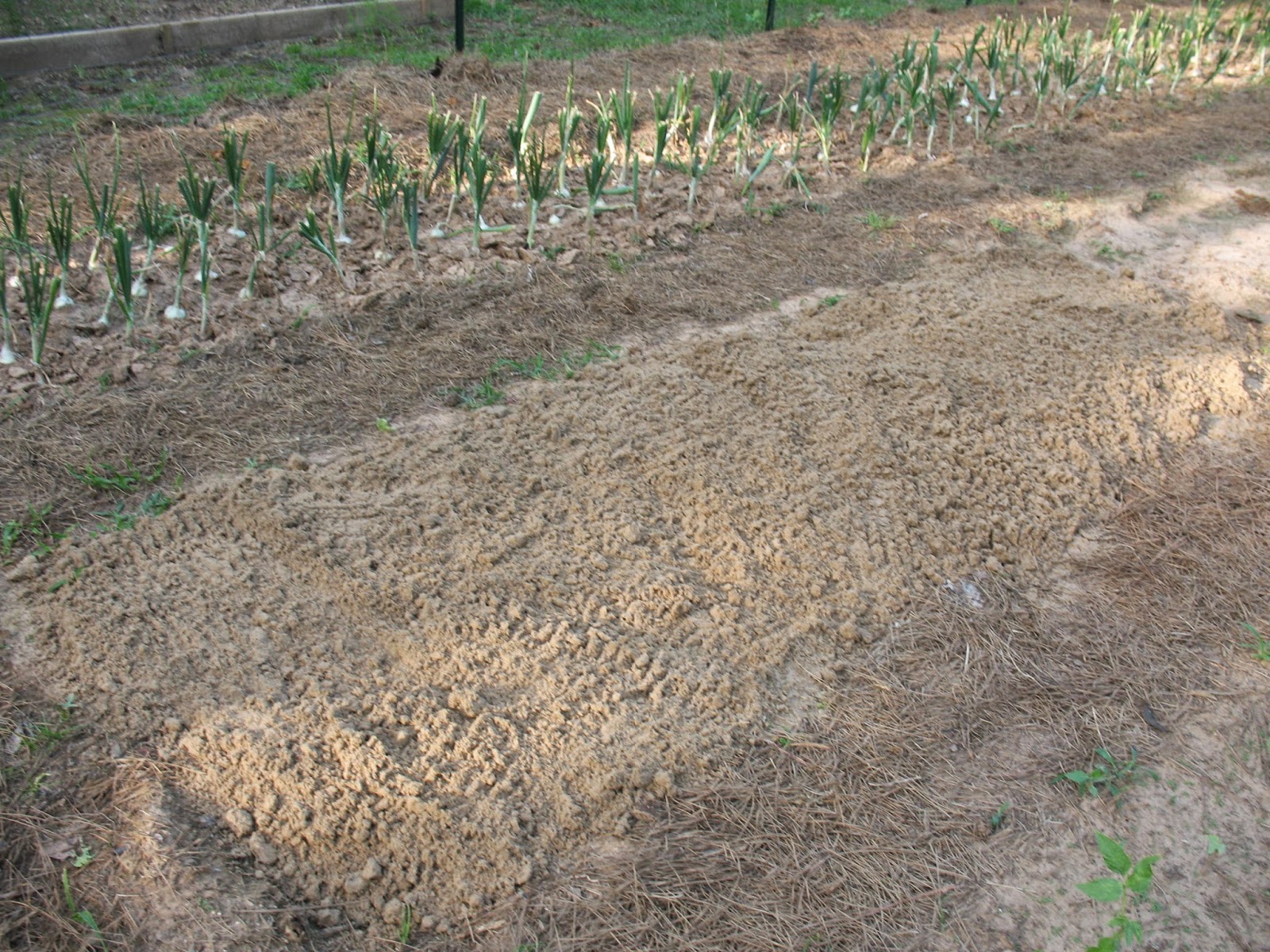 Sensible Survival How to Get Free Sand for Your Garden