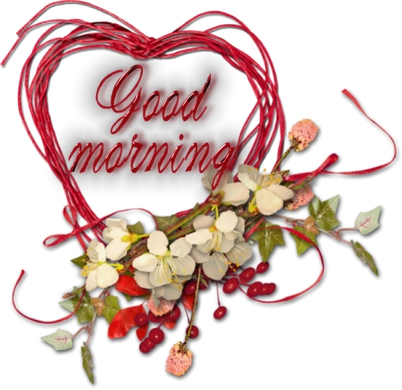 Good morning miss toliver essay picture