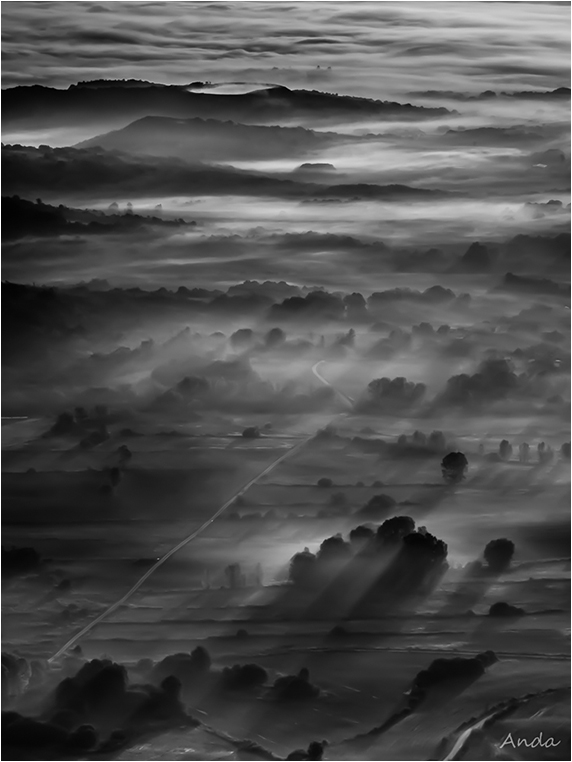 Emerging Photographers, Best Photo of the Day in Emphoka by Anda Emerging Photographers, Best Photo of the Day in Emphoka by Anda