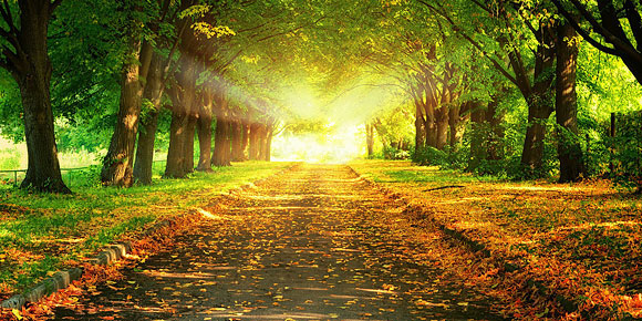 twitter covers