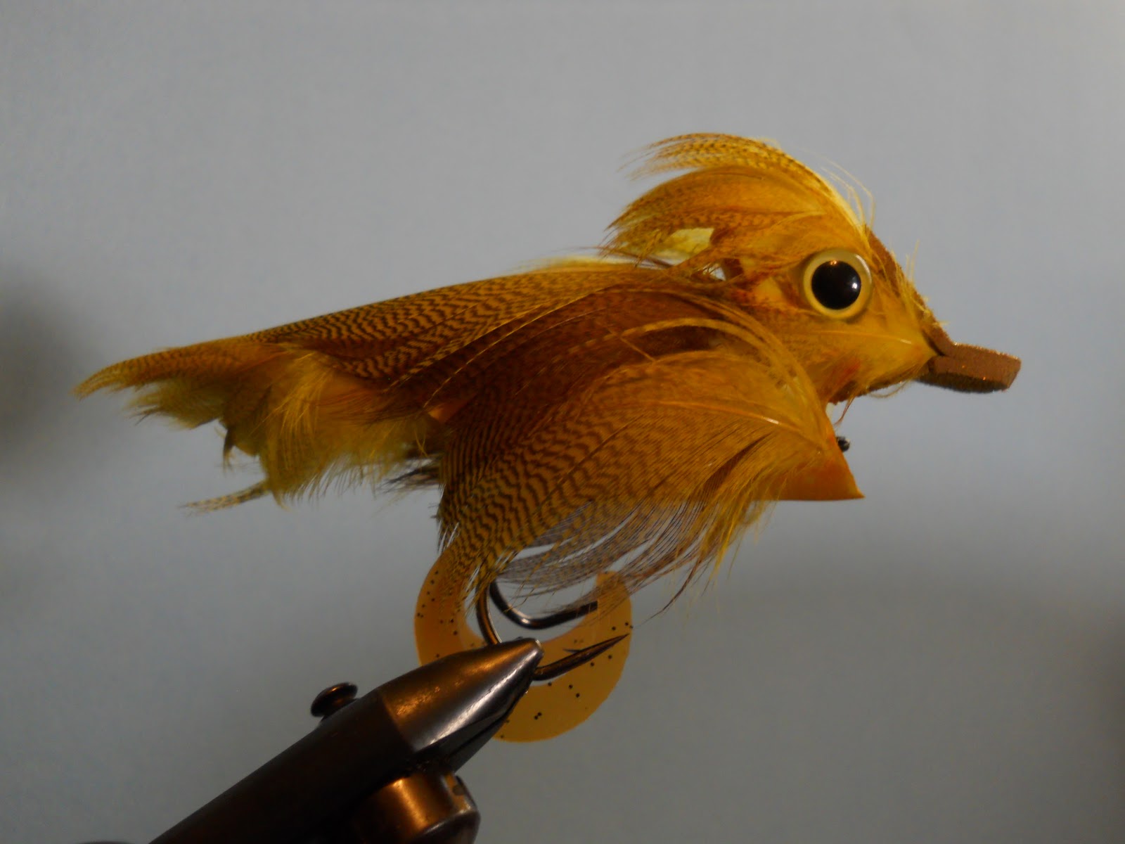 bigflychucker: What the duck?? (duckling)