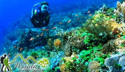 Taman Laut Selat Pantar