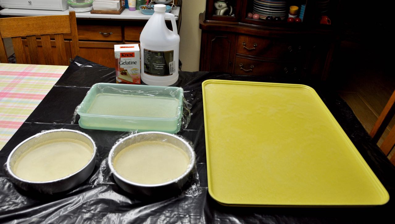 LuAnn Kessi Glycerin Gelatin Plates...