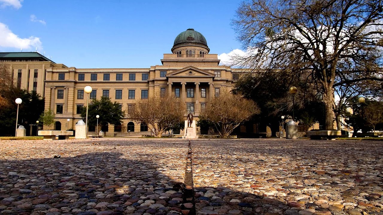 University of Texas at Dallas academic programs Psychology