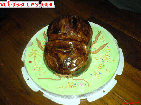 蟑螂蛋糕1