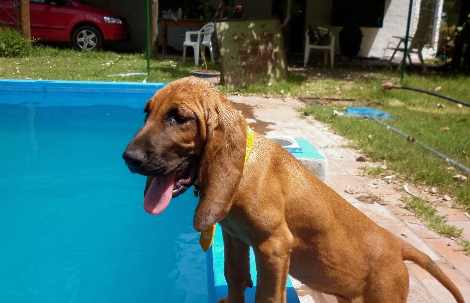 ¡FELICES VACACIONES! ¡FELIZ VERANO!