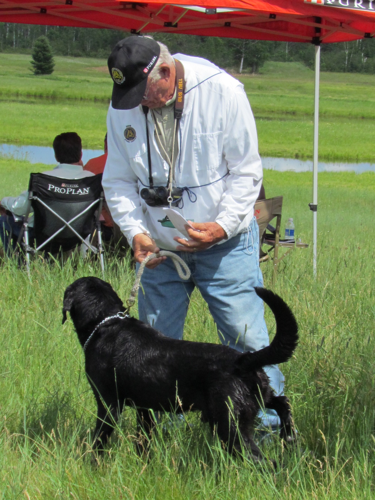 2012 NARC Blog