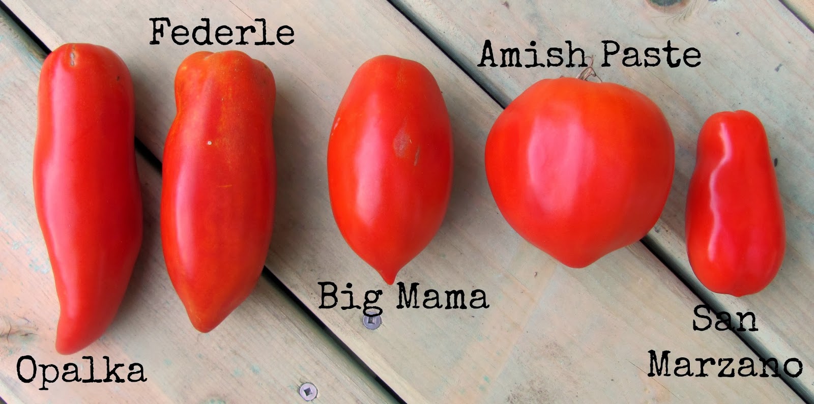 Sweet Domesticity The Great Heirloom Paste Tomato Search End of