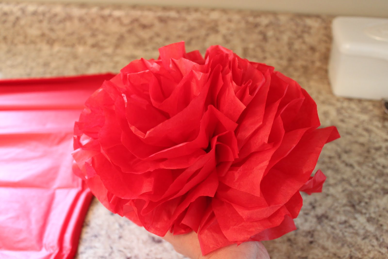Tissue Paper Pom Pom Tutorial... Love of Family & Home