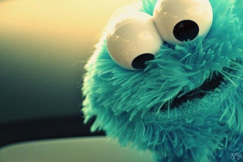 PELUCHES: Come Galletas PELUCHES: Come Galletas