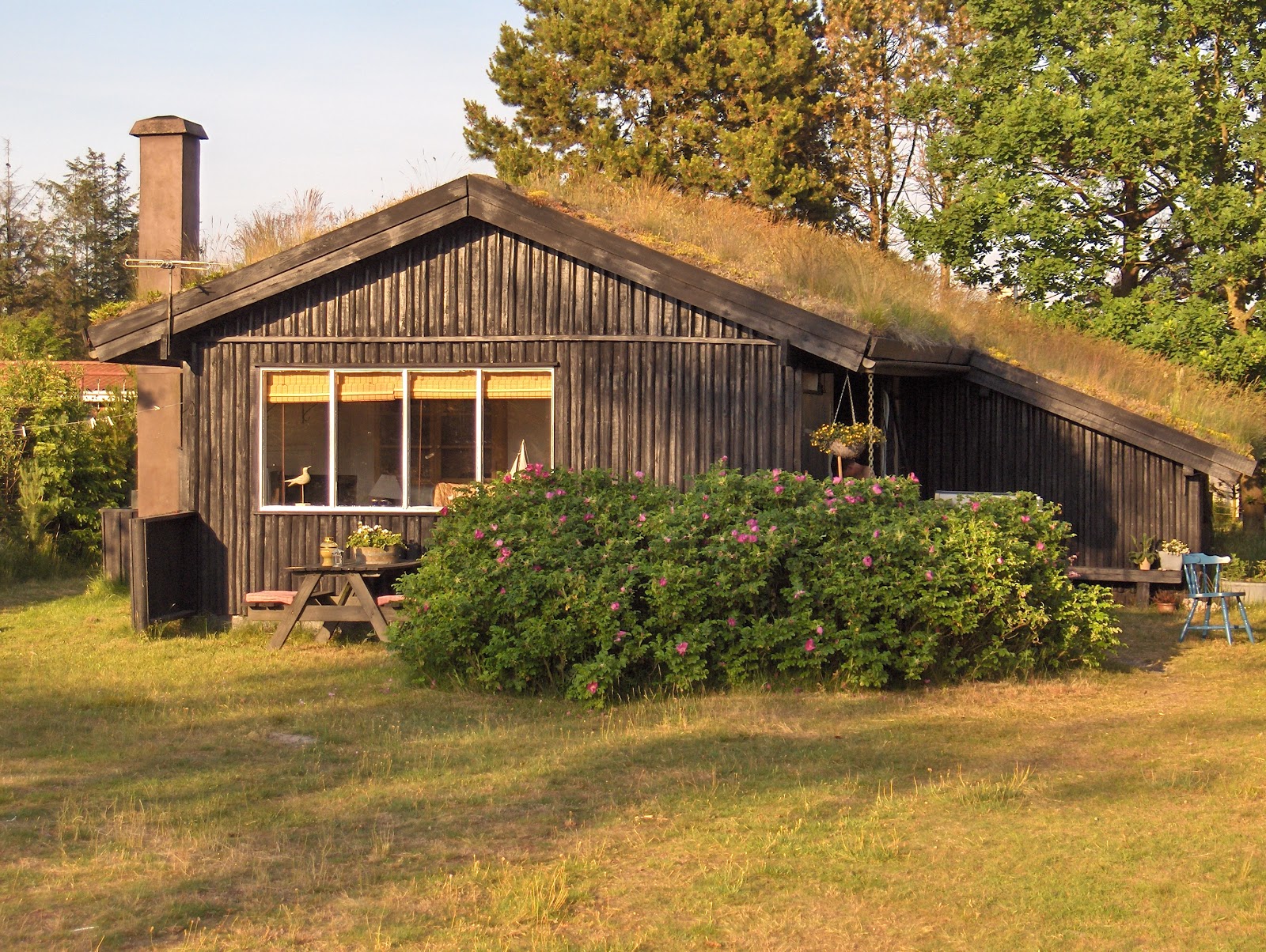 Hanne rimmen: sommerhusdrømme