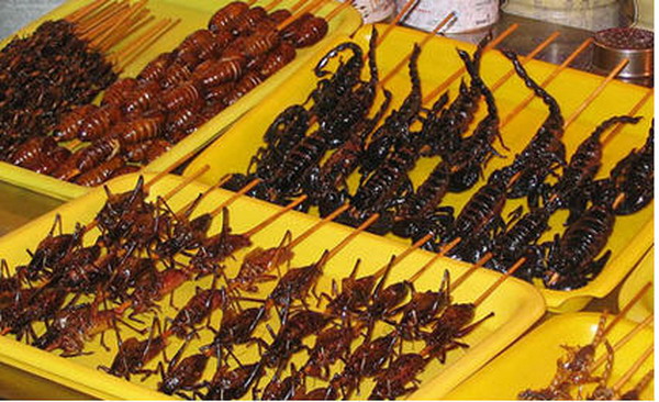 Một số món ăn ghê tỏm được chế biến từ côn trùng.