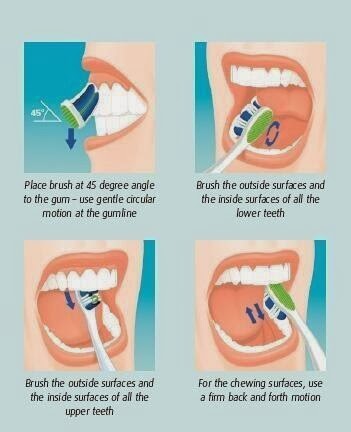 Easy to follow Toothbrushing Tips for Toddlers & Children