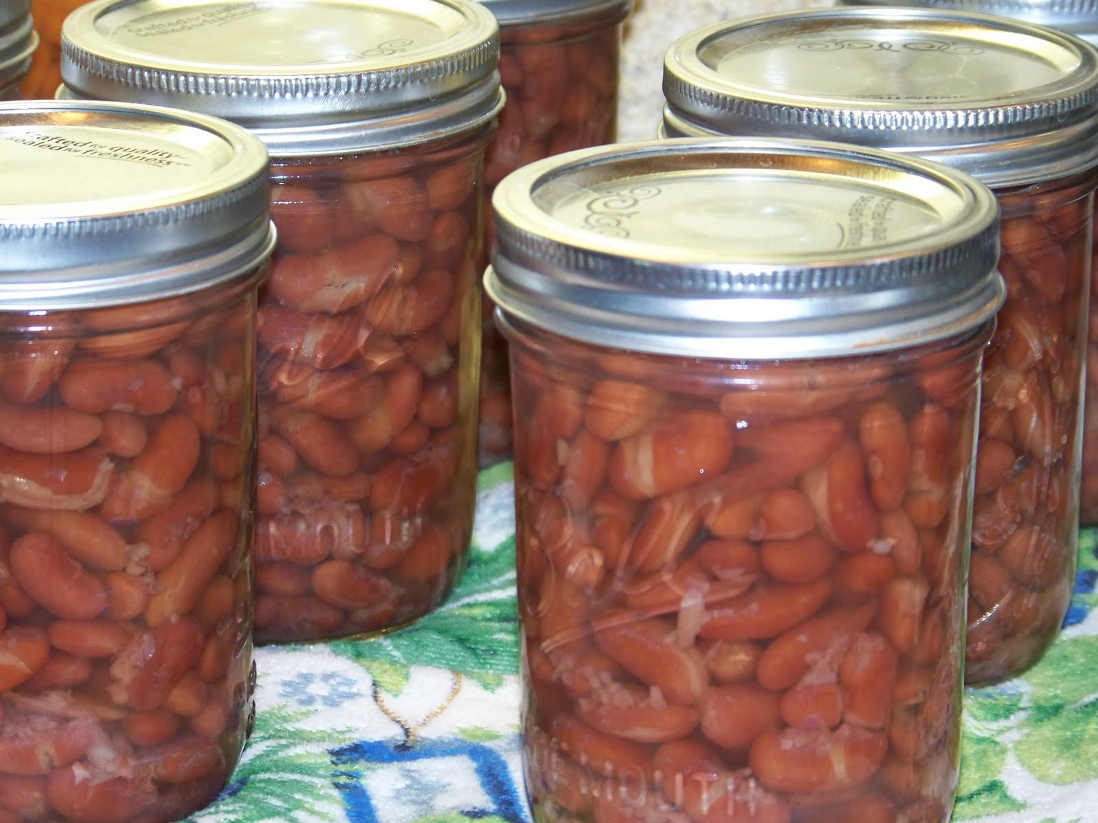 Hickery Holler Farm Canning Dried Beans