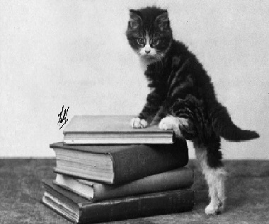Des livres et des chats