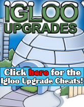 Igloo Upgrade