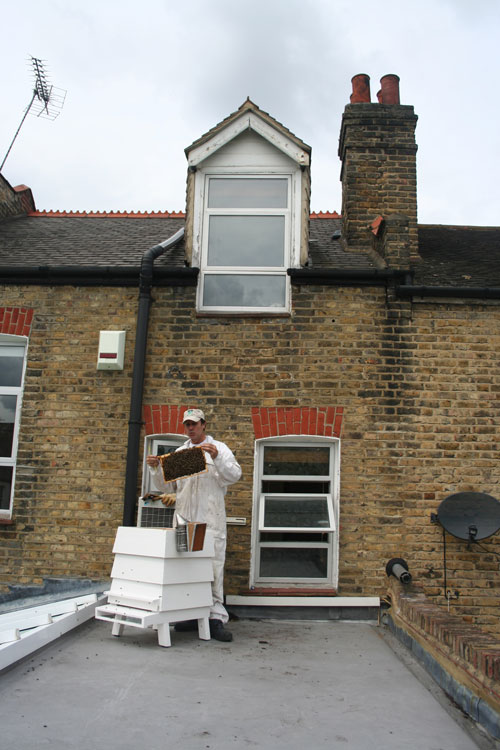 Beekeeping with The Hive Honey Shop Urban London Roof Top Beekeeping!