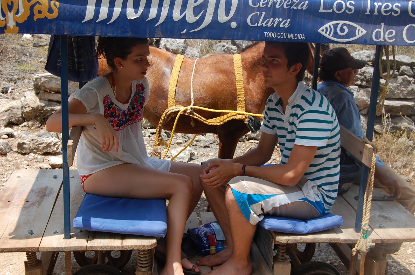 Namida Magazin Yucatan Mietwagen Rundreise Live Update Teil 2