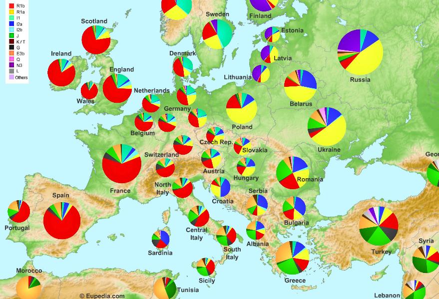 Las razas y etnias en el mundo Y+Distribution+Europe