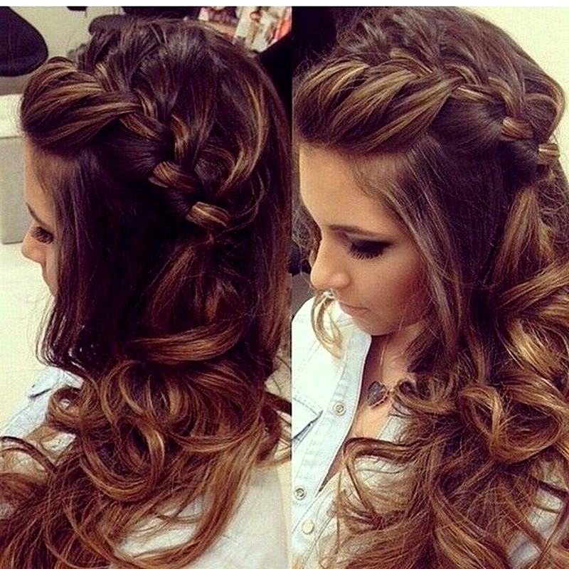 New Braids Long Hair Ideas In 2015 Best Haircuts