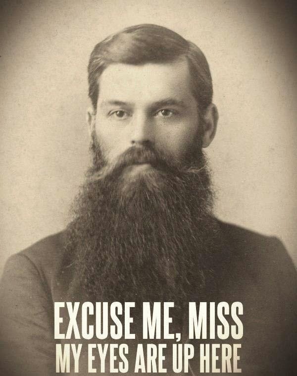 Avatar for sexually straight gridflay