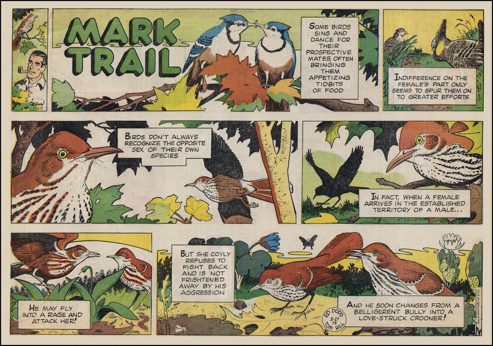 Ed Dodd/Tom Hill - Mark Trail - May 27, 1973.