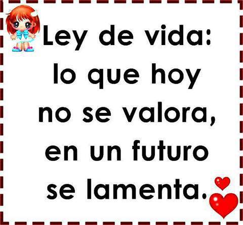 LEY DE VIDA