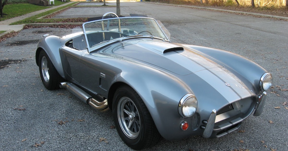 Pumpkin Exotic's In Stock