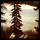 My photo