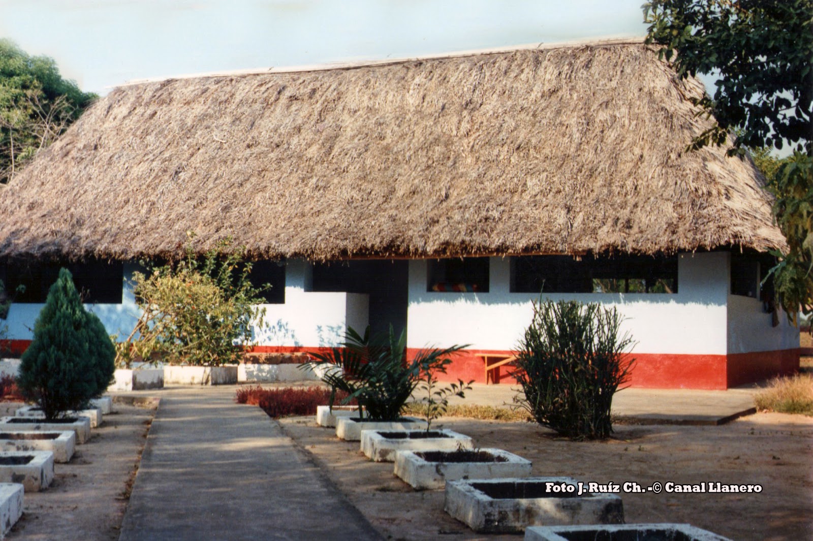 Canal Llanero : EL TÍPICO Y TRADICIONAL RANCHO LLANERO