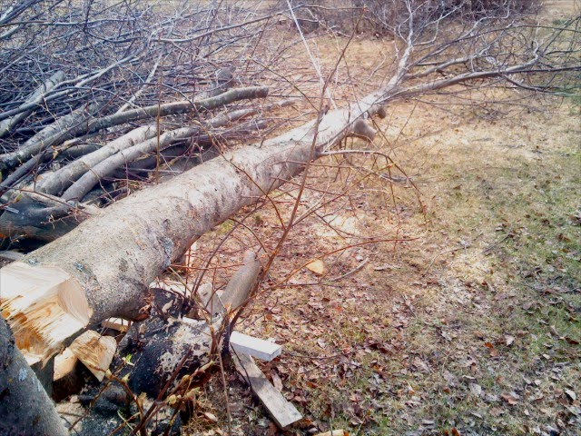 I'm a lumberjack and I'm OK! :)