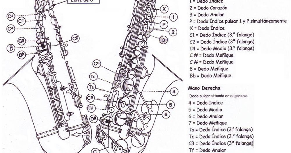 El Saxofón Doigté y Posiciones del Saxofón.