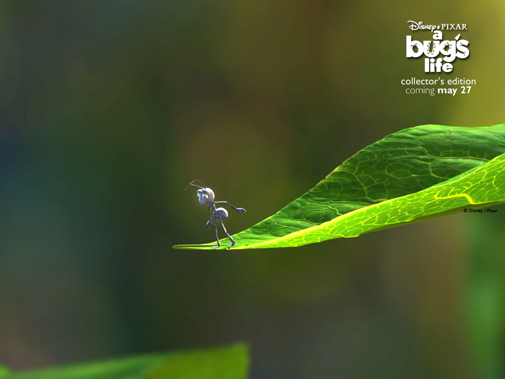 http://2.bp.blogspot.com/--gkPgMixUy8/Tn3O8MX2hSI/AAAAAAAAAU4/cunkE9R_qfw/s1600/a-bugs-life-wallpaper-5-724892.jpg