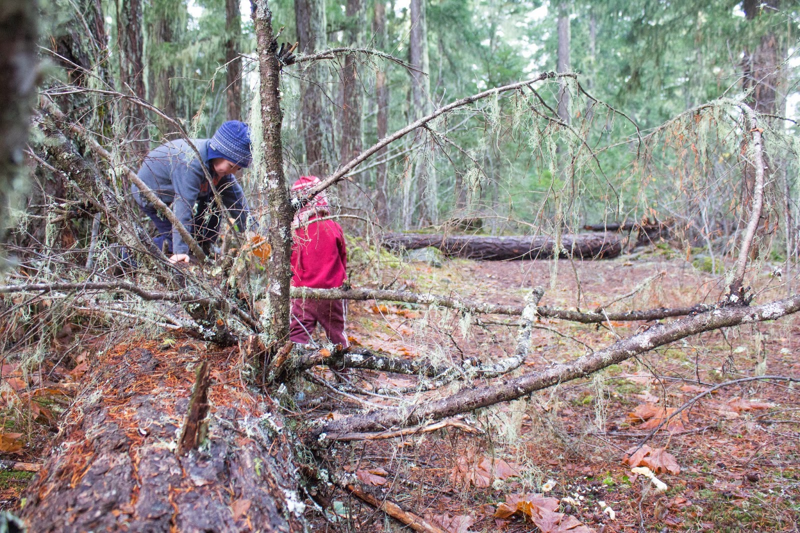 Pete and Buzz Guler Ice Caves Trout Lake. WA