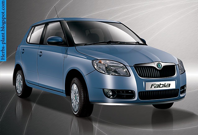 Skoda fabia car 2013 front view - صور سيارة سكودا فابيا 2013 من الخارج Skoda fabia car 2013 front view - صور سيارة سكودا فابيا 2013 من الخارج