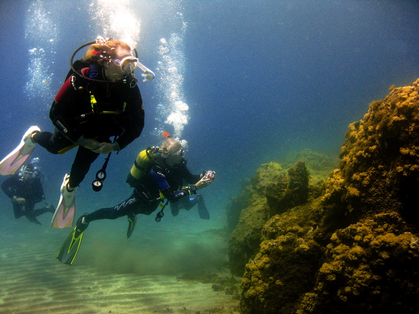 Amarilla Divers Tenerife Diving Tenerife Life