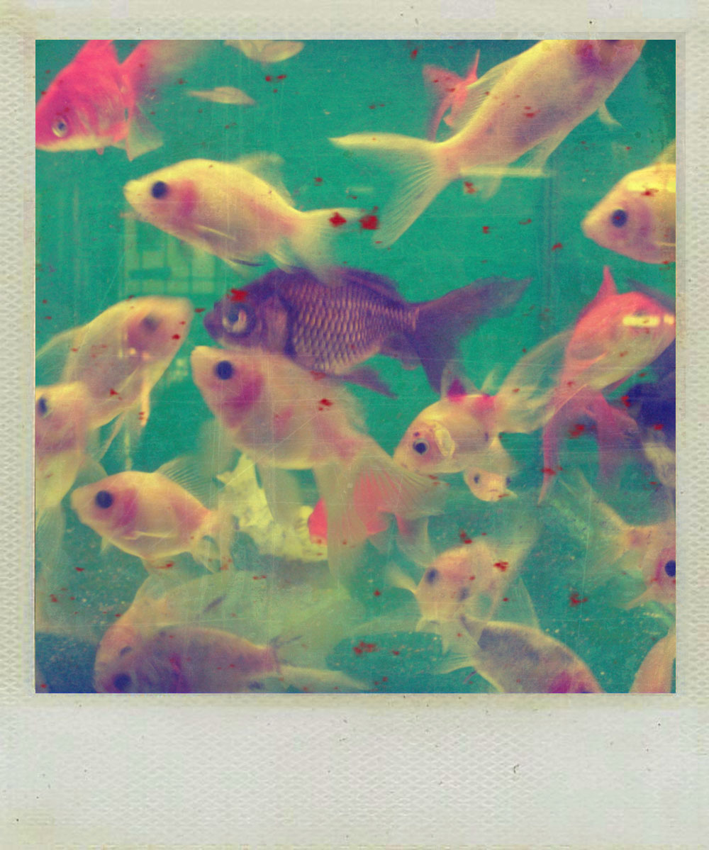 Fish Tale Charters - Home Facebook