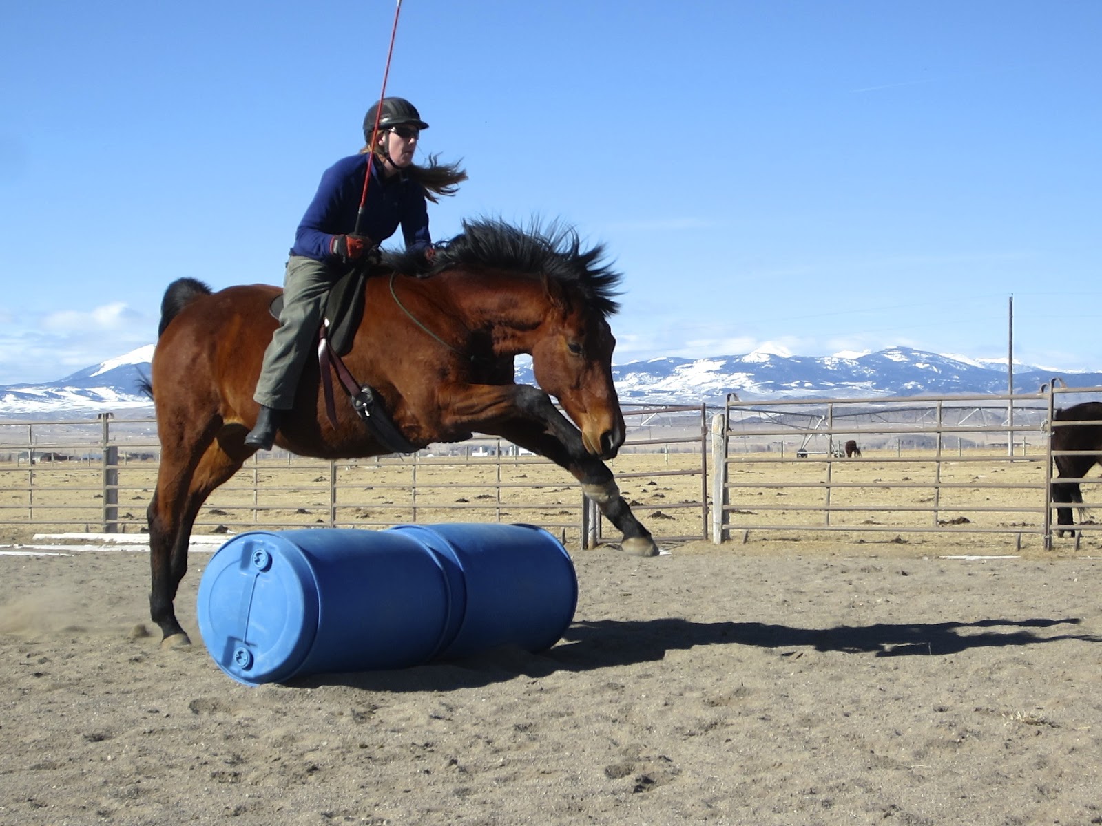 Samantha Thorning Horsemanship First Bridleless Ride!