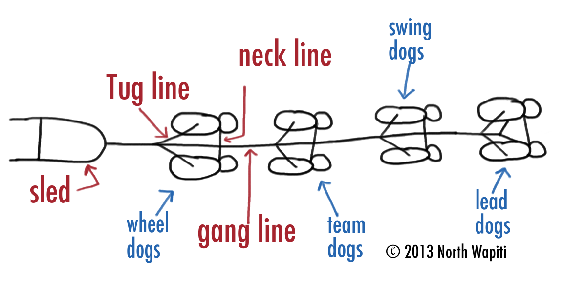 North Wapiti Blog Ensembles Bet