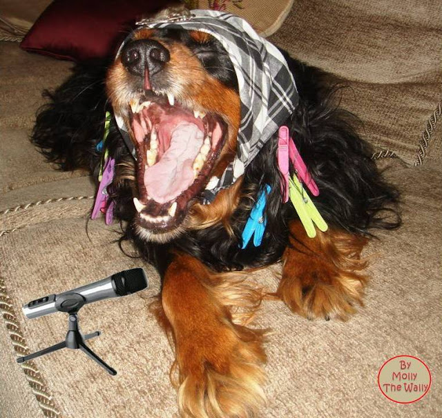 Molly The Wally does karaoke. Molly The Wally does karaoke.