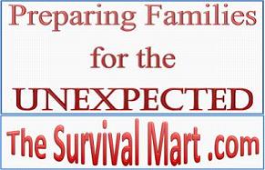 The Survival Mart