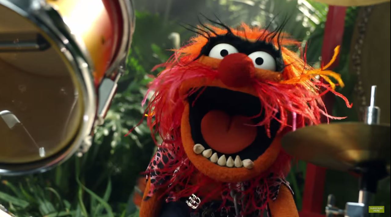 Muppet Stuff Electric Mayhem Jungle Boogie!